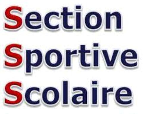 Logo-Section-Sportive-Scolaire_0.jpg